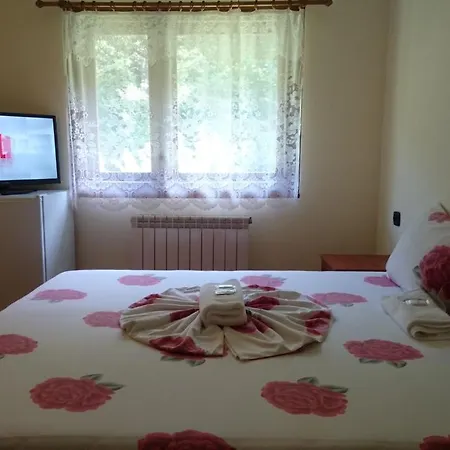 Guest house St. Michael 3*